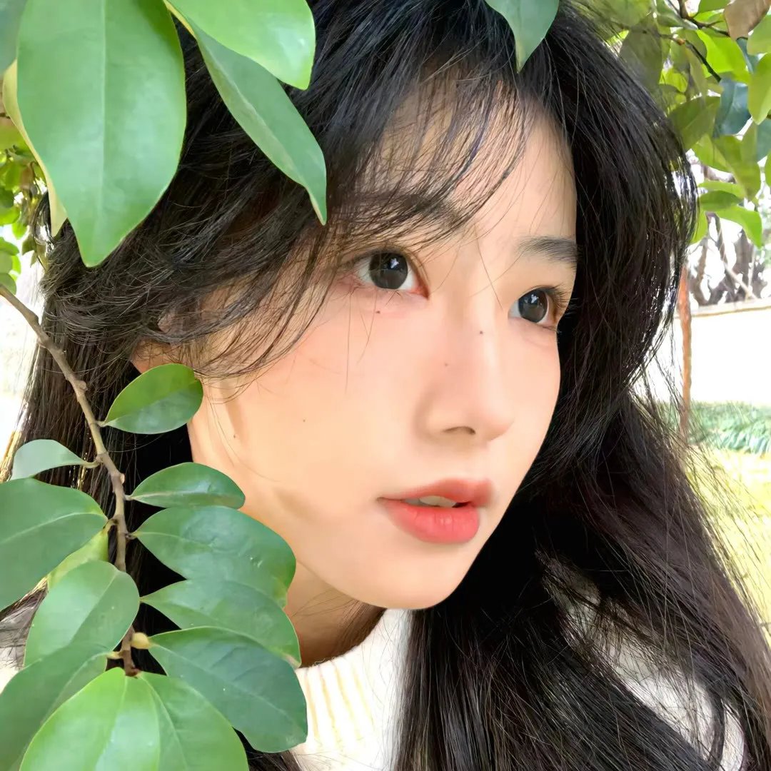 一路格桑花