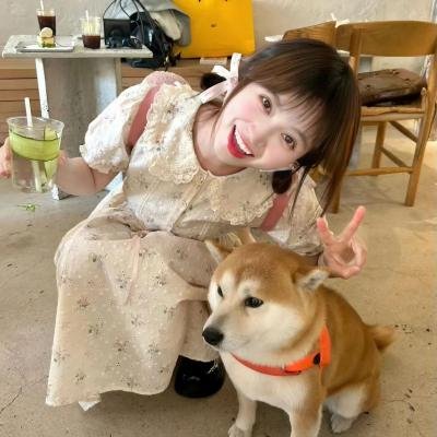 春归